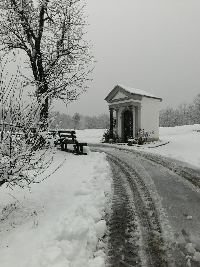 R&B La Gerla Blu Bed & Breakfast Tolmezzo Exterior foto