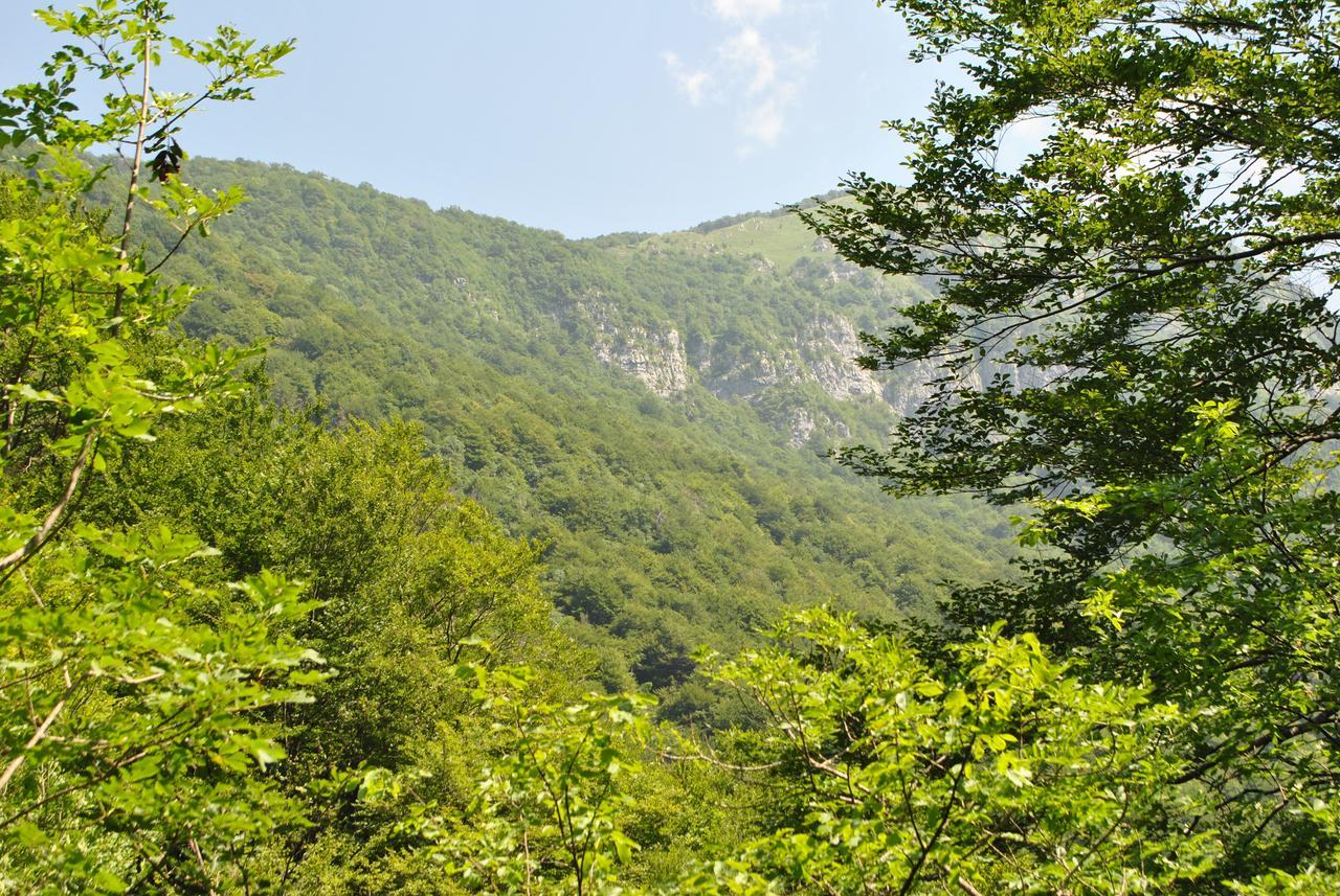 R&B La Gerla Blu Bed & Breakfast Tolmezzo Exterior foto